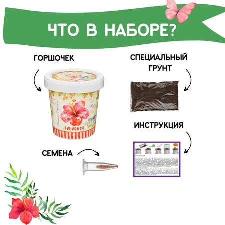 Набор для выращивания Rostok Visa