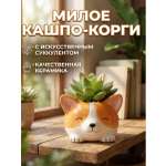 Искусственные цветы SOFANNA Корги-2 суккулент силикон