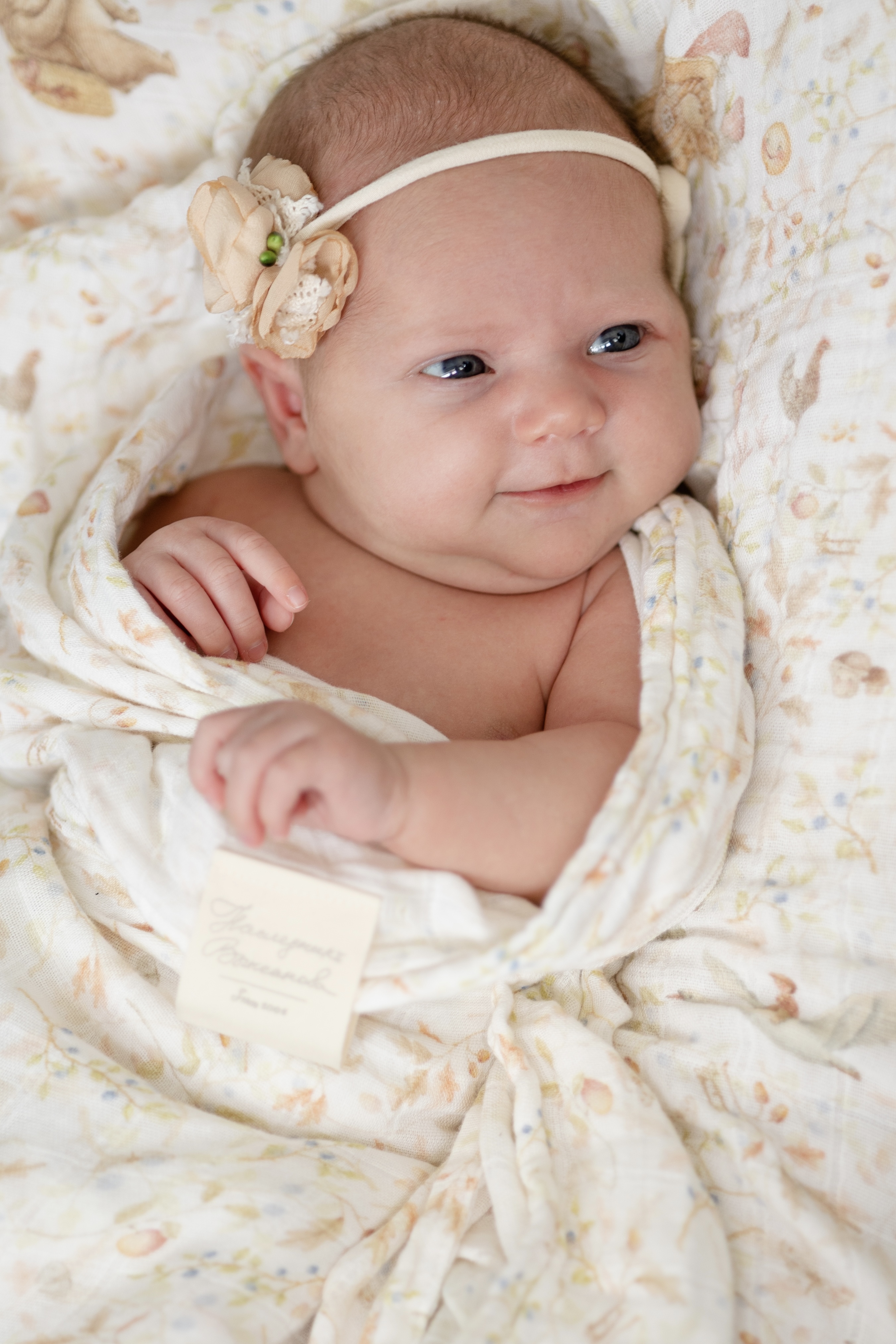 Пелёнка НаследникЪ Выжанова Набор муслиновых пеленок муслин 120х120 см 2 шт. - фото 8