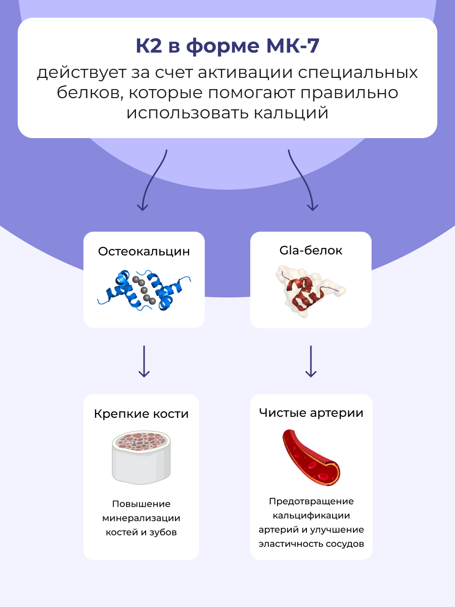 К2 МК-7 ENBIO менахинон-7 - фото 2