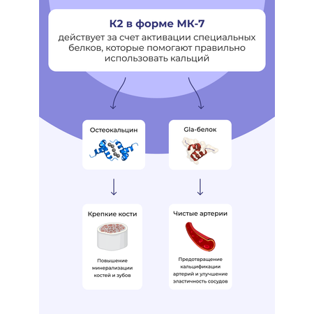 К2 МК-7 ENBIO менахинон-7