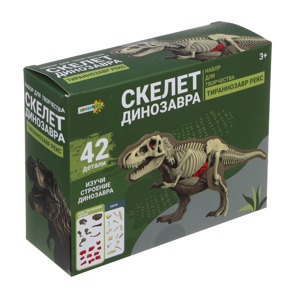 Наглядное пособие ХОББИХИТ Скелет динозавра - фото 1