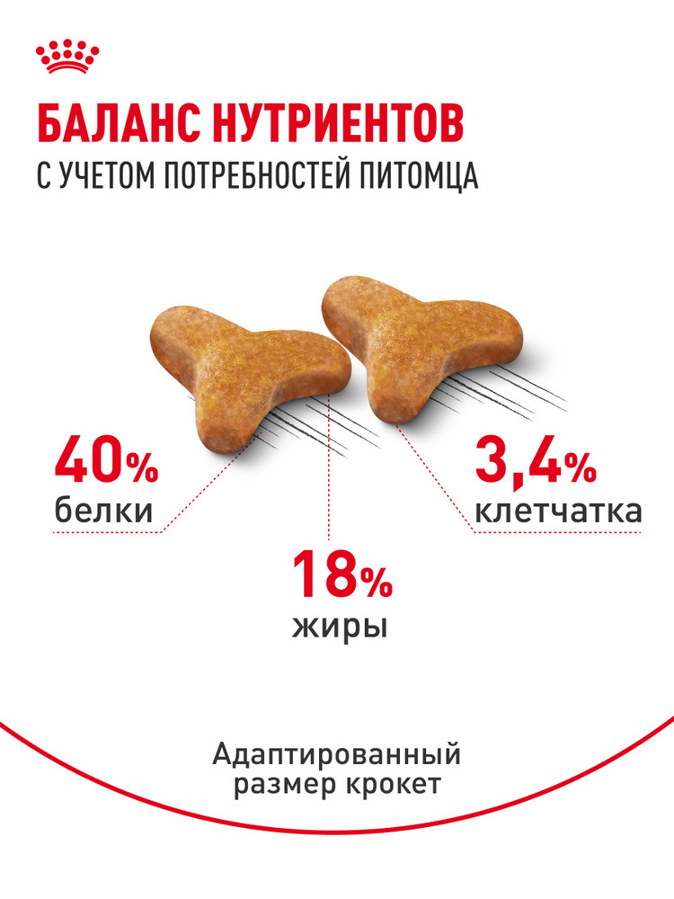 Корм сухой для кошек ROYAL CANIN 400г Бенгальских - фото 4