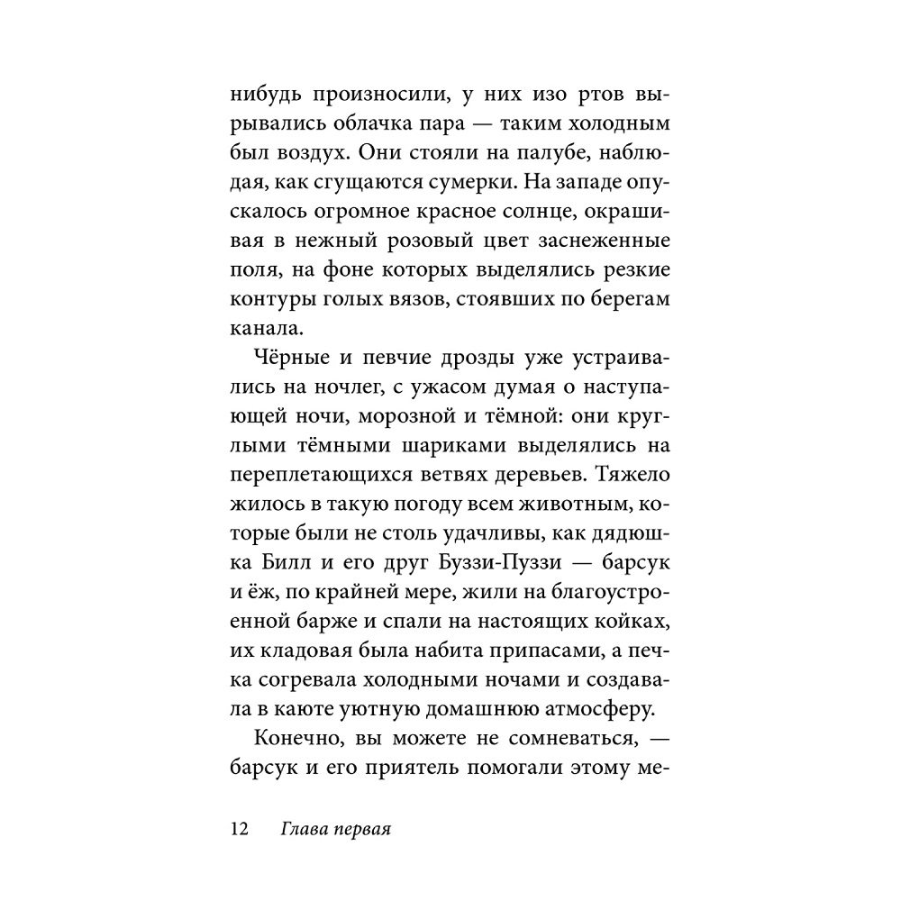 Дeнис Уоткинс-Питчфорд / Добрая книга / Билл Барсук. Зимнее путешествие/ 2-я книга / от автора Вверх по Причуди - фото 9