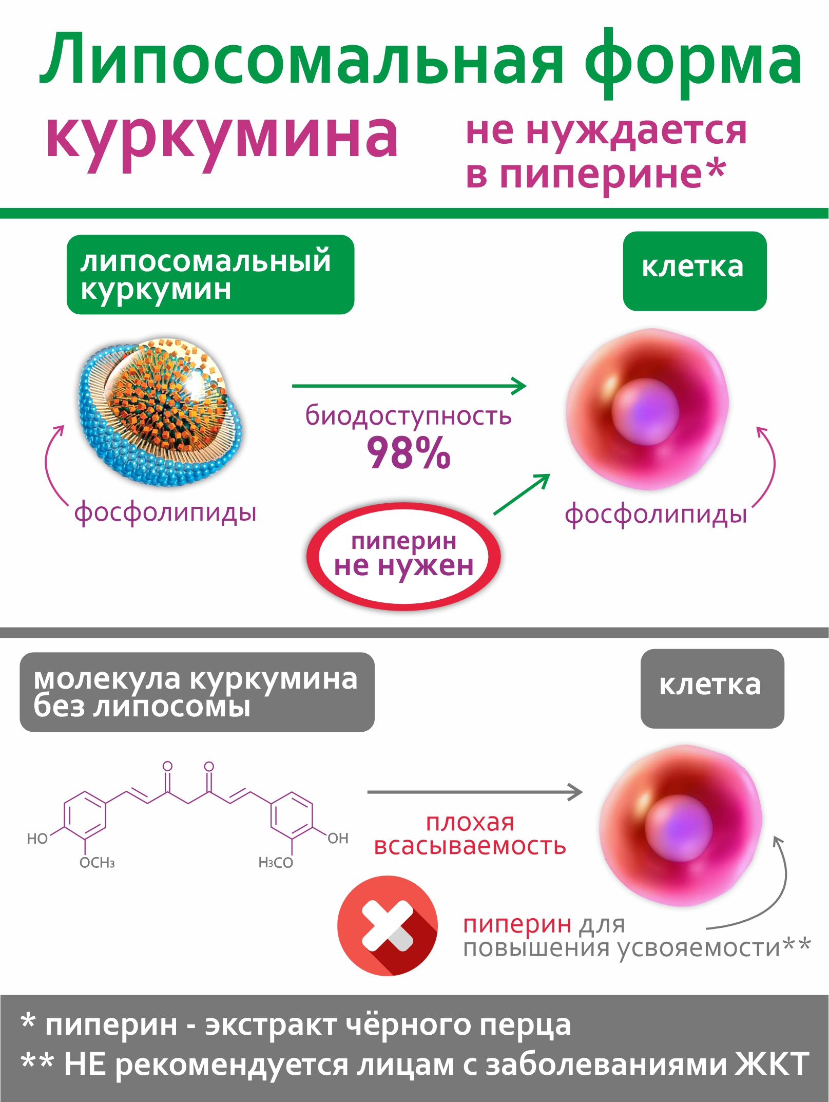 Концетраты пищевые Алтайские традиции Липосомальный куркумин Витамины для зрения веган 60 капсул - фото 4