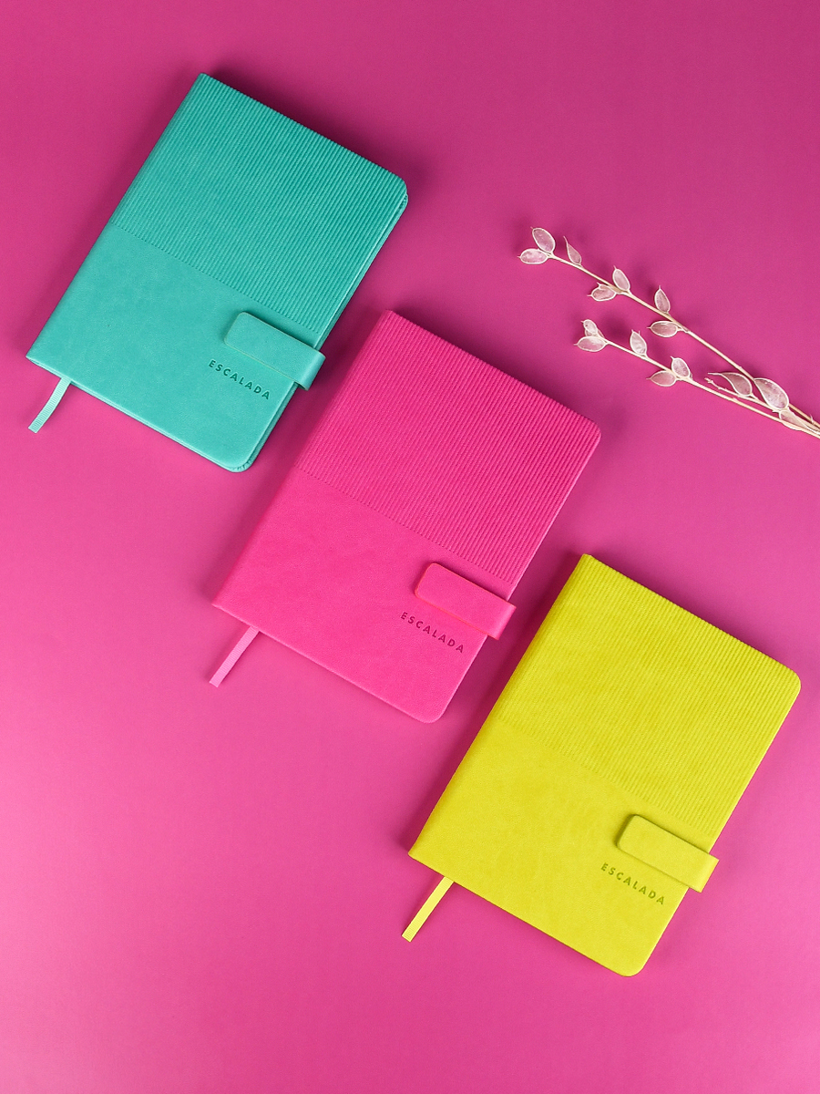 Ежедневник Феникс + ESCALADA 120 лист. - фото 3