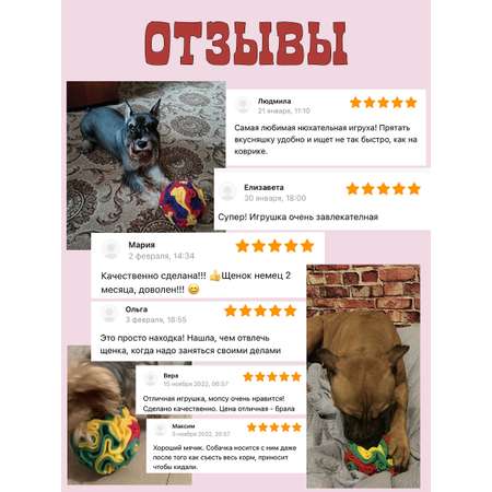Поисковая игрушка для собак PRIVEREDA Шар
