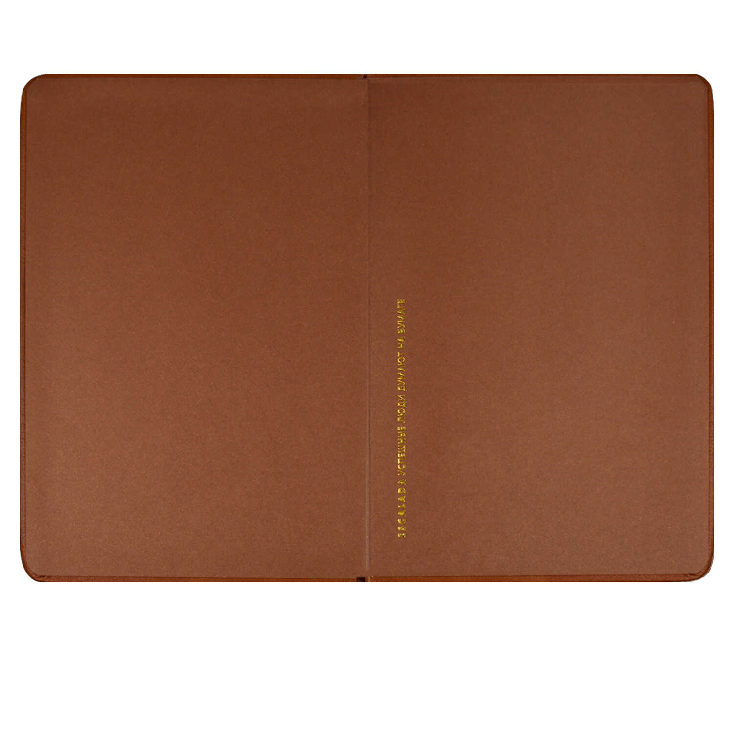 Ежедневник Феникс + ESCALADA 160 лист. - фото 14