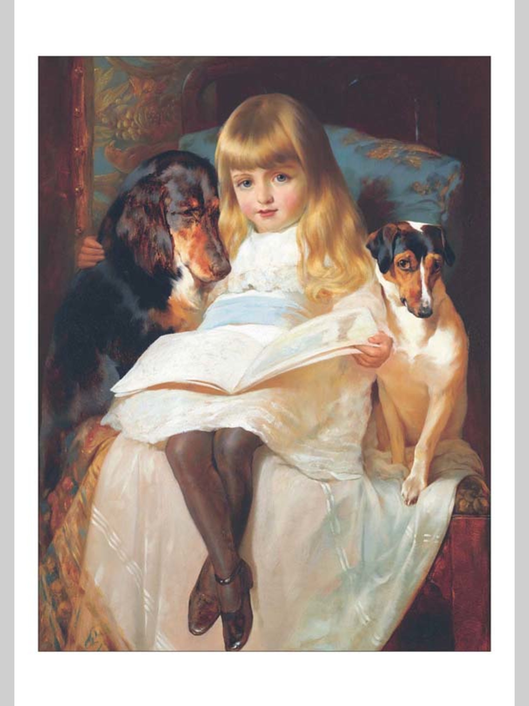 Набор открыток Белый город Домашние любимцы - фото 2