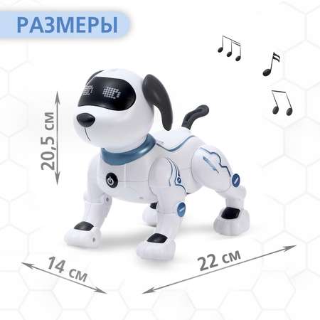 Собака РУ Автоград Дружок трюкач