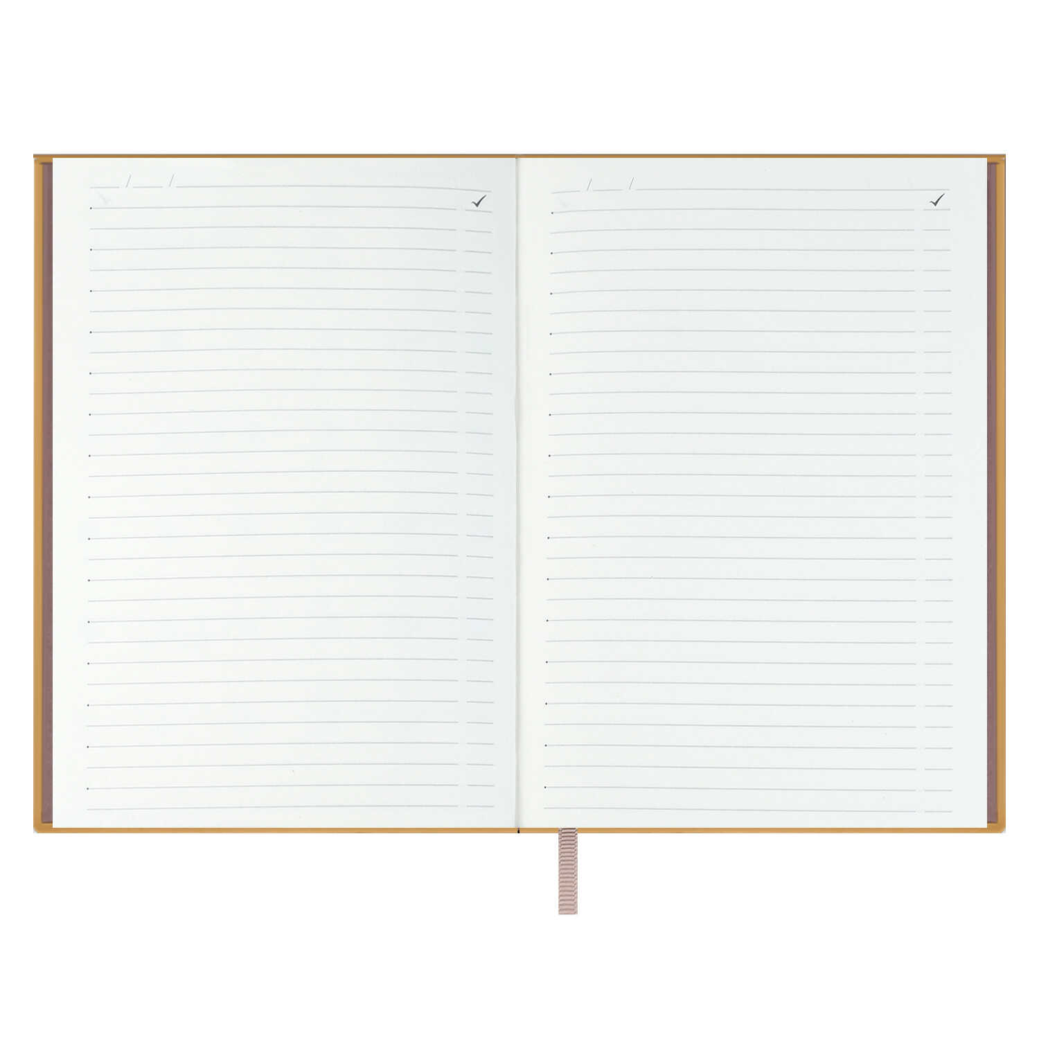 Ежедневник Феникс + ESCALADA 160 лист. - фото 13