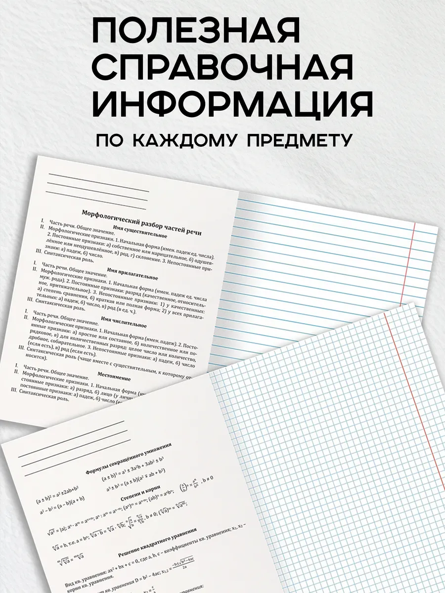 Тетрадь Prof-Press 24 лист. 10 шт. (Иностранный язык, Биология, История, Русский язык, Литература, Алгебра, Информатика) - фото 6