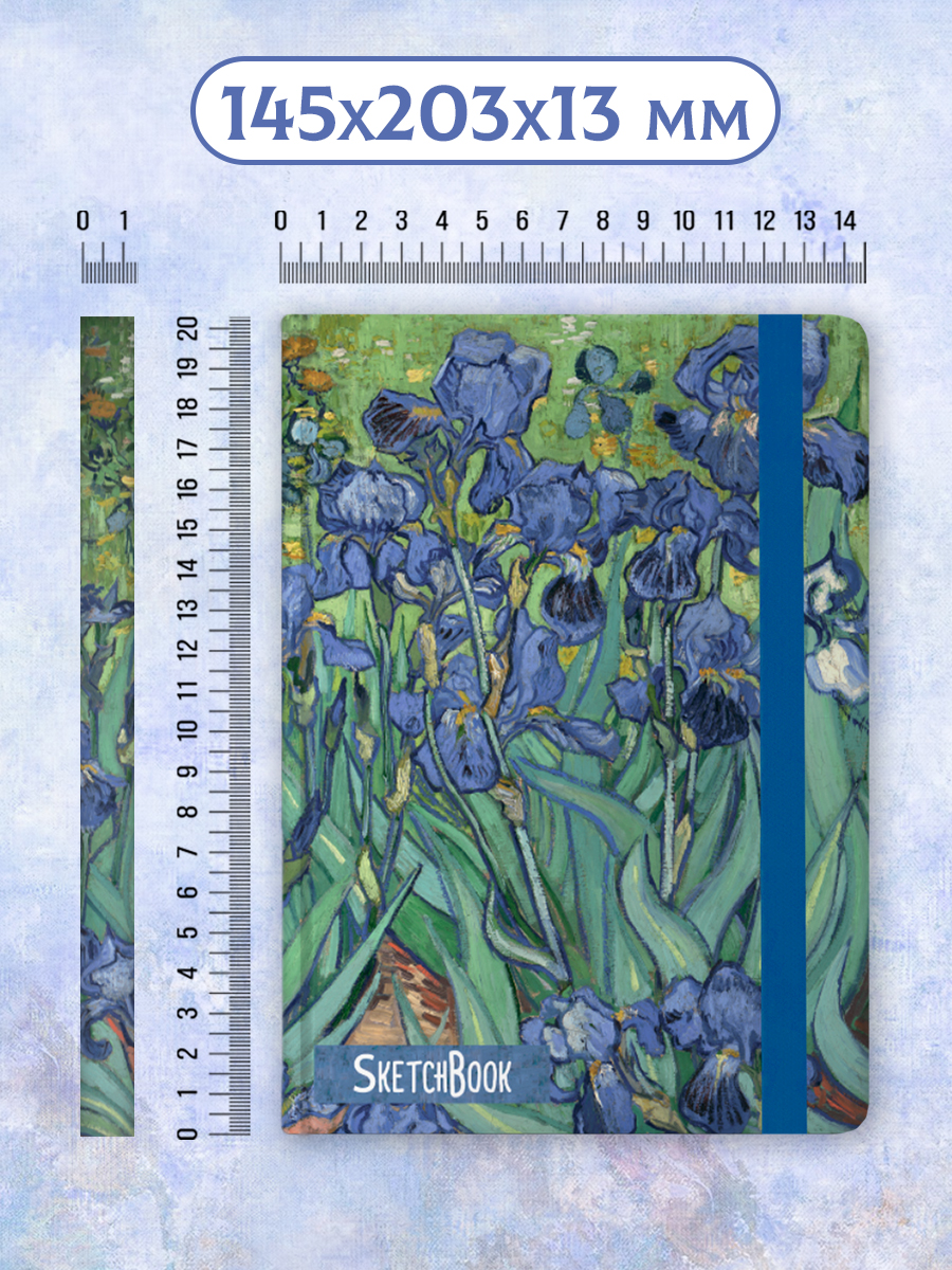 Блокнот Проф-Пресс Скетчбук А5. Ван Гог. Ирисы - фото 5