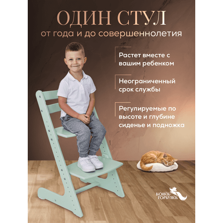 Стульчик для кормления Конёк Горбунёк Комфорт PRO трансформер