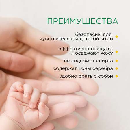Влажные салфетки Paterra