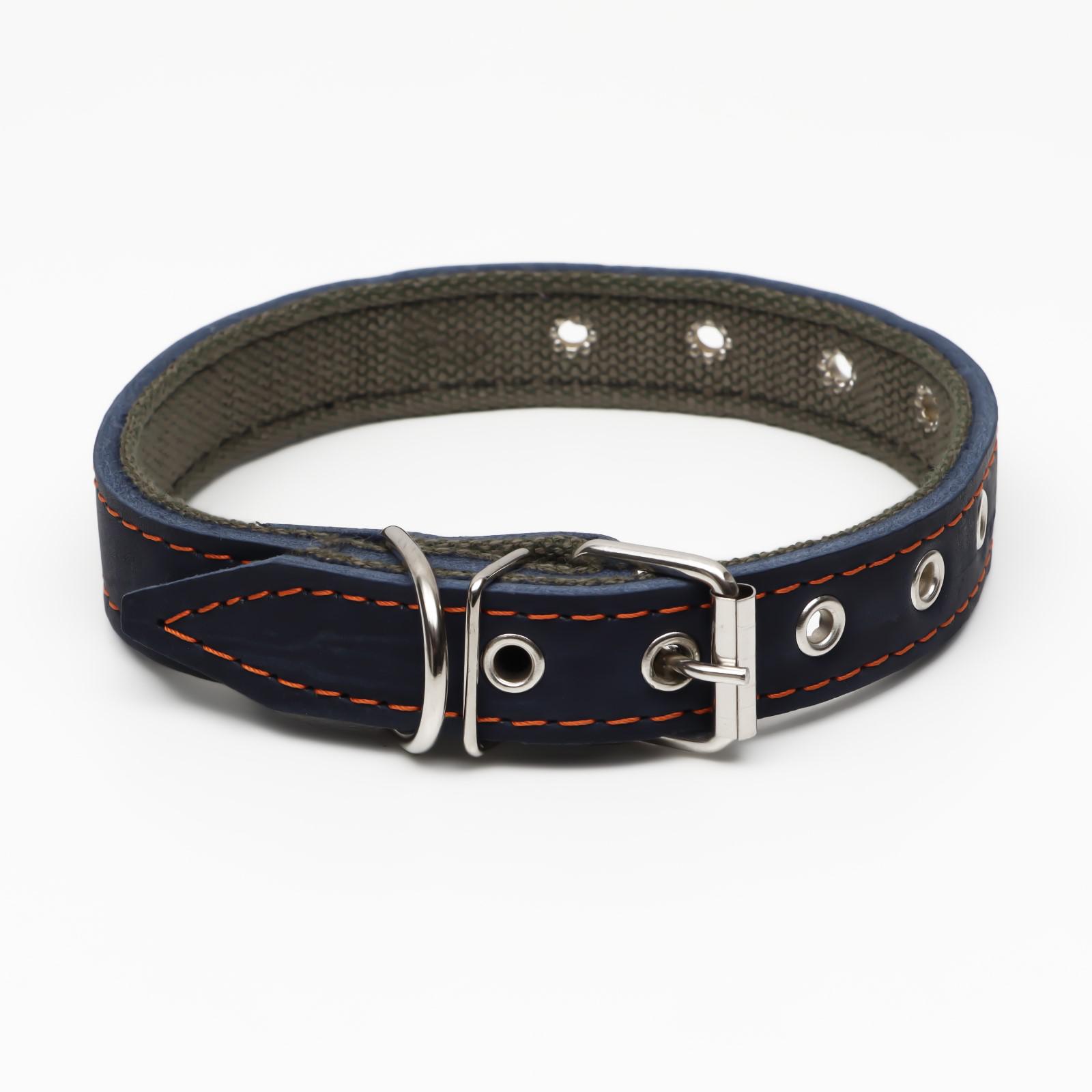 Ошейник Пижон кожа/брезент безразмерный 54 х 2.5 см синий - фото 2