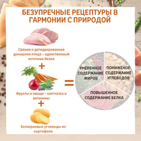 Корм для кошек Wellness CORE взрослых индейка курица 4кг