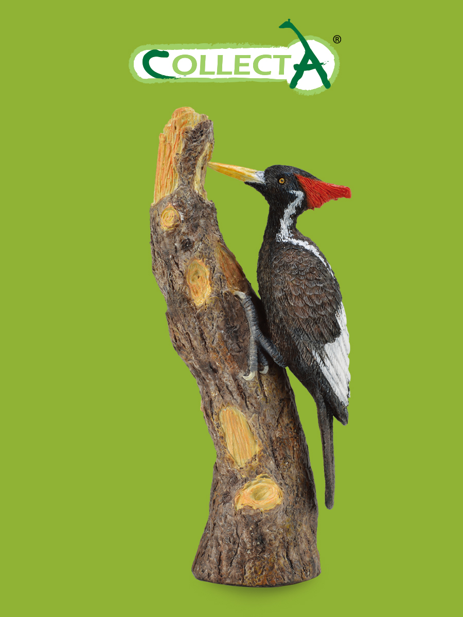 Фигурка Collecta Белоклювый Дятел - фото 1