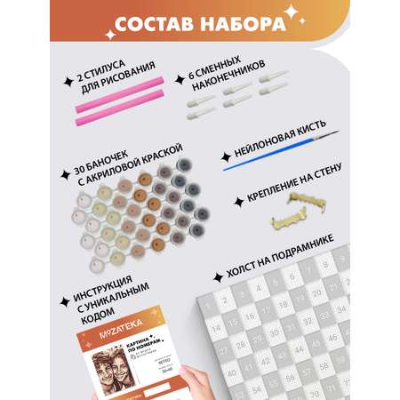Картина по номерам Mozateka в ассортименте