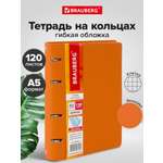 Тетрадь со сменным блоком Brauberg клетка 120 лист.