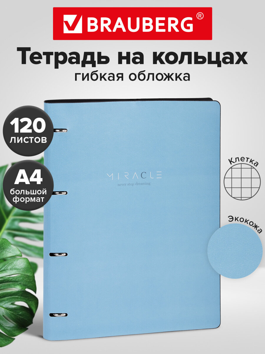 Тетрадь со сменным блоком Brauberg клетка 120 лист. - фото 1