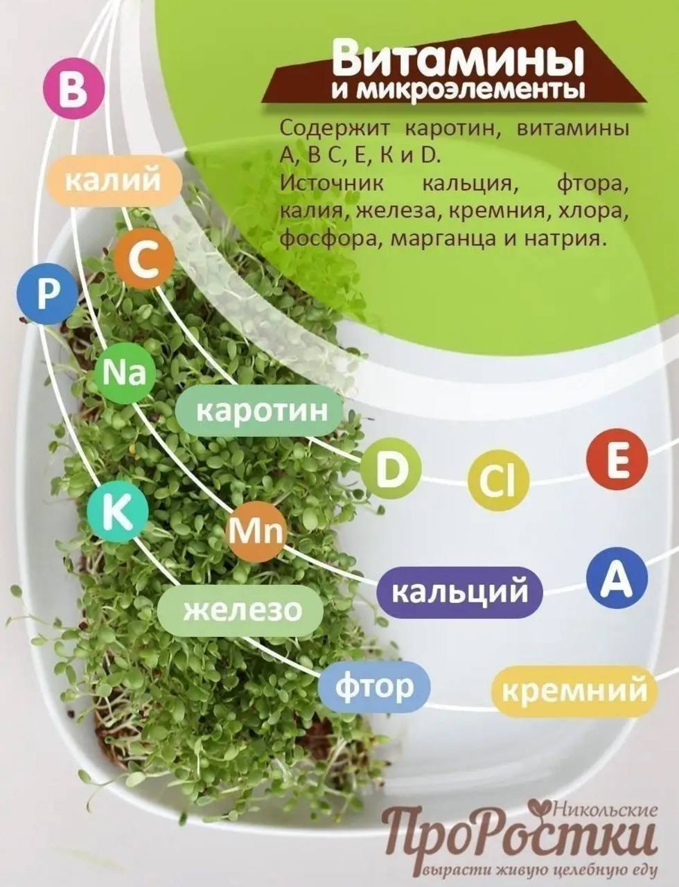 Семена для микрозелени MegaMedia люцерна - фото 4