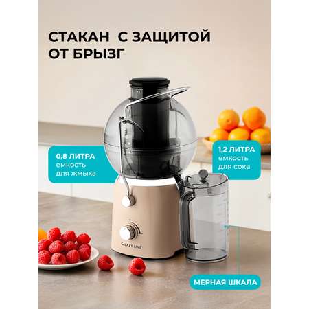 Соковыжималка Galaxy LINE GL0811 ДЫМЧАТАЯ РОЗА