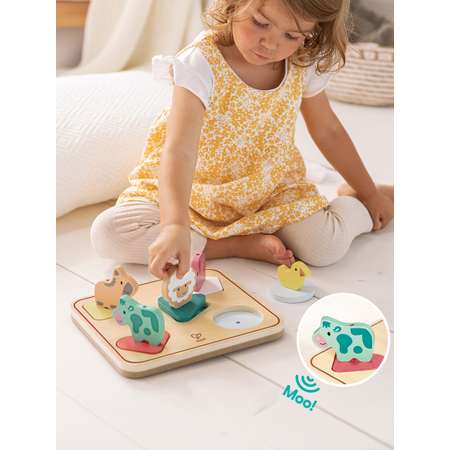 Игрушка Hape сортер