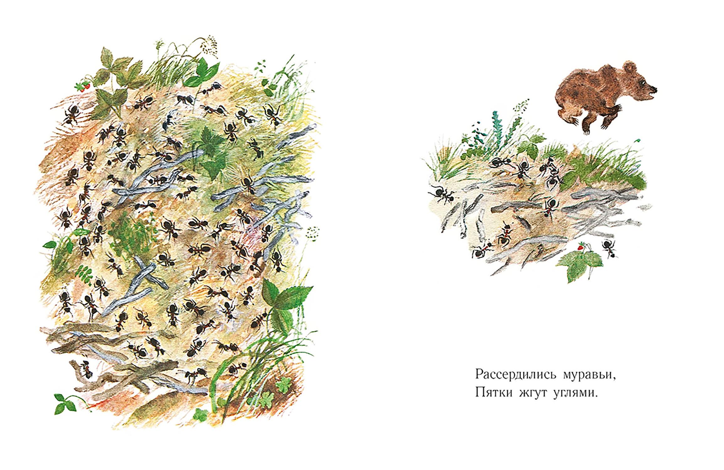 Книга Издательство Речь Мишка - фото 6