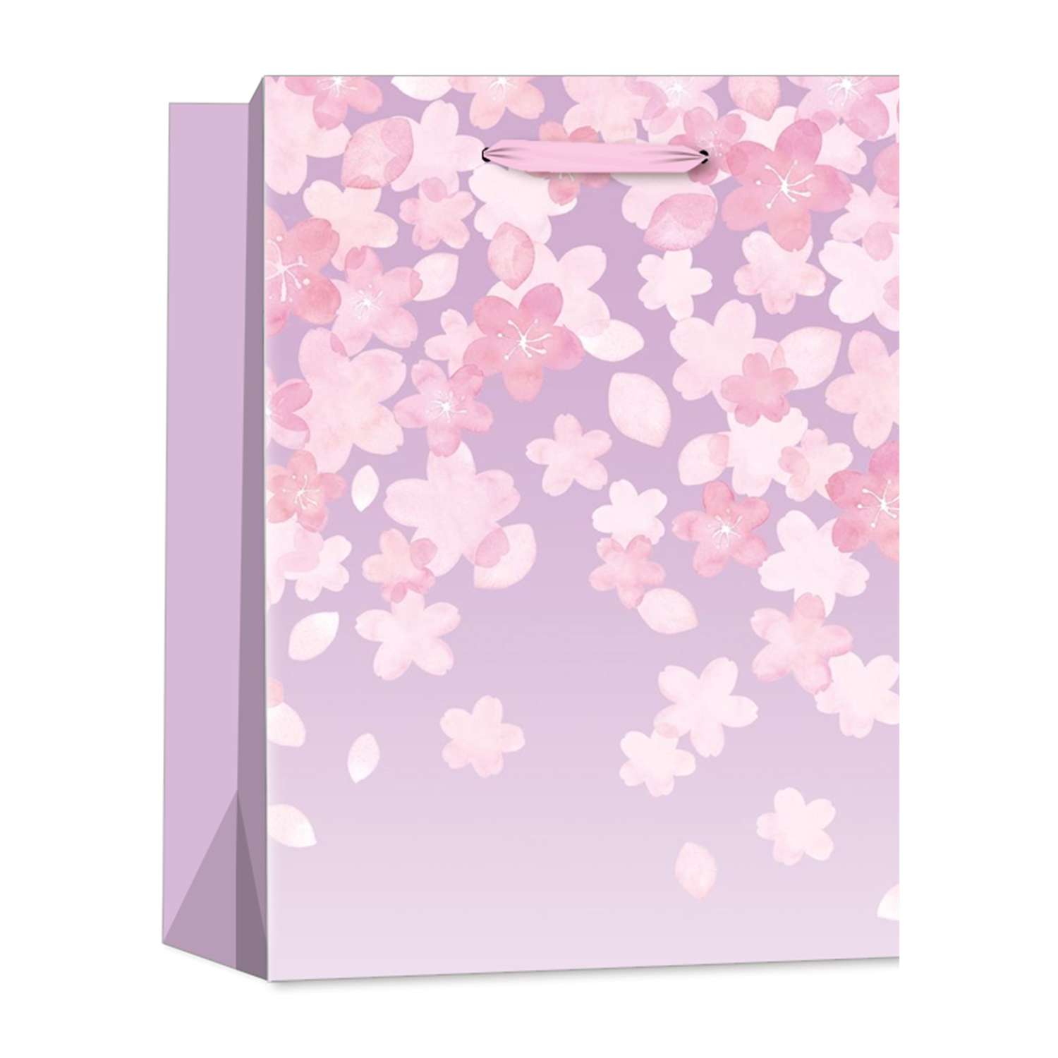 Пакет . Гендеры средний в ассортименте - фото 3