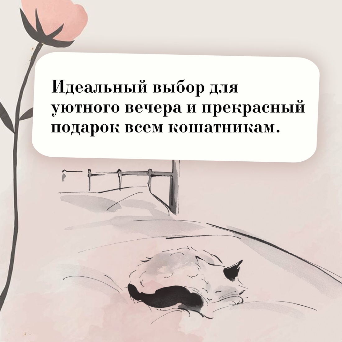 Книга АЗБУКА Хроники странствующего кота. - фото 6