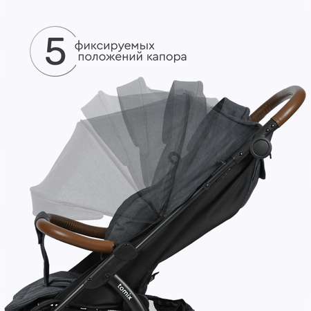 Коляска прогулочная Tomix Stella