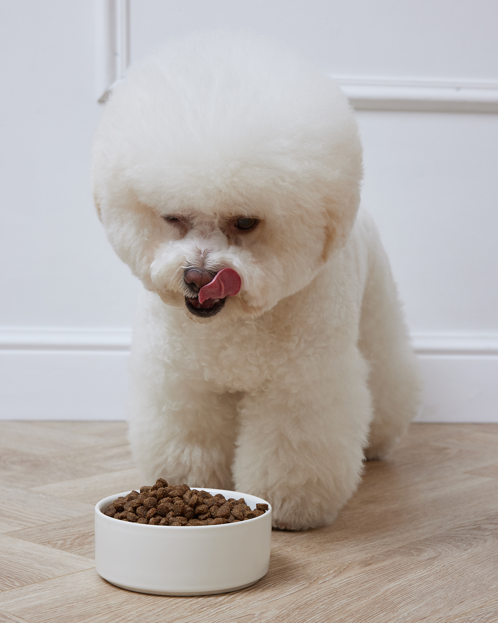 Корм для собак Roybis 5кг для мелких пород с чувствительным пищеварением с тунцом сухой - фото 4