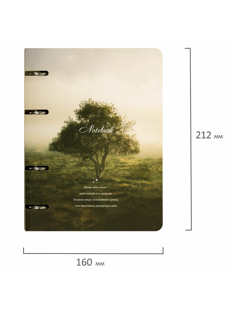 Тетрадь Brauberg клетка - фото 4