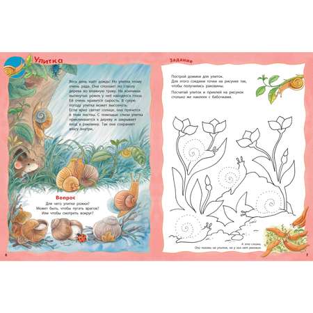 Книга ЭНАС-книга Кто живёт на лугу?