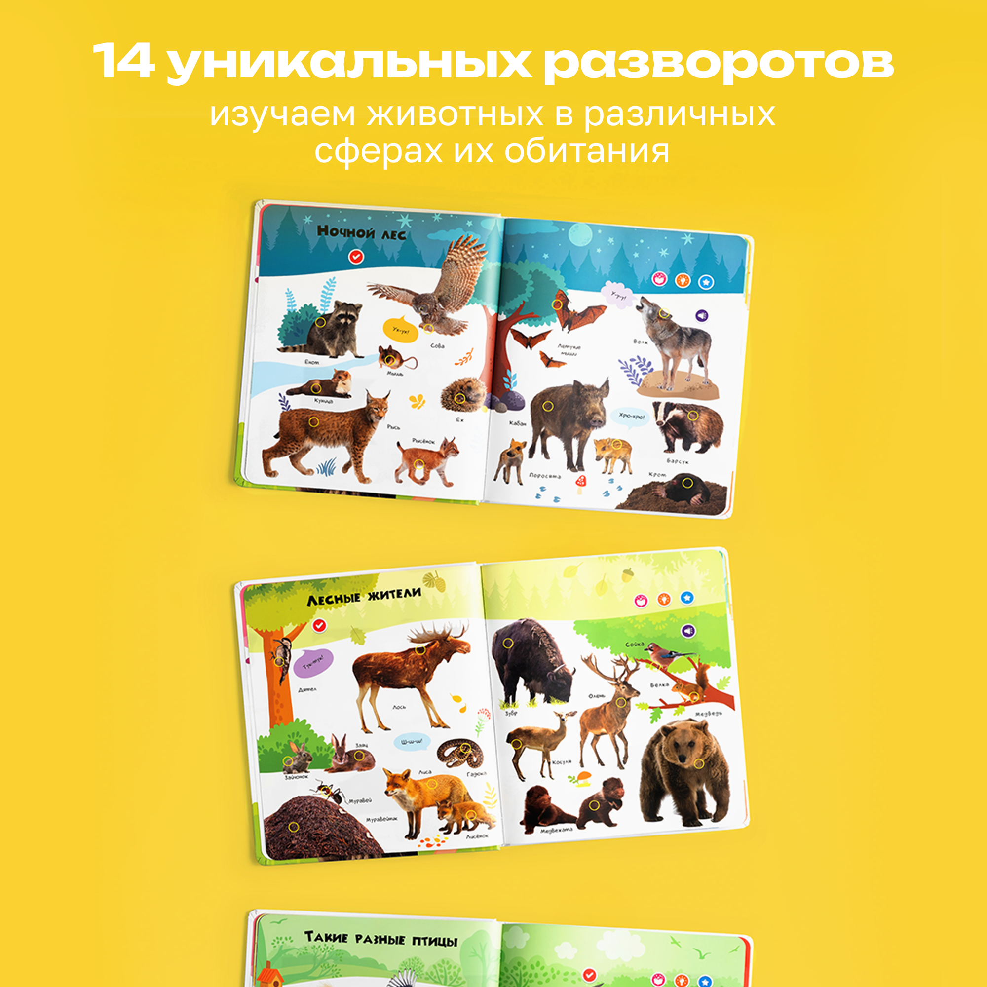Говорящая книжка BertToys большая нажималка животные - фото 11