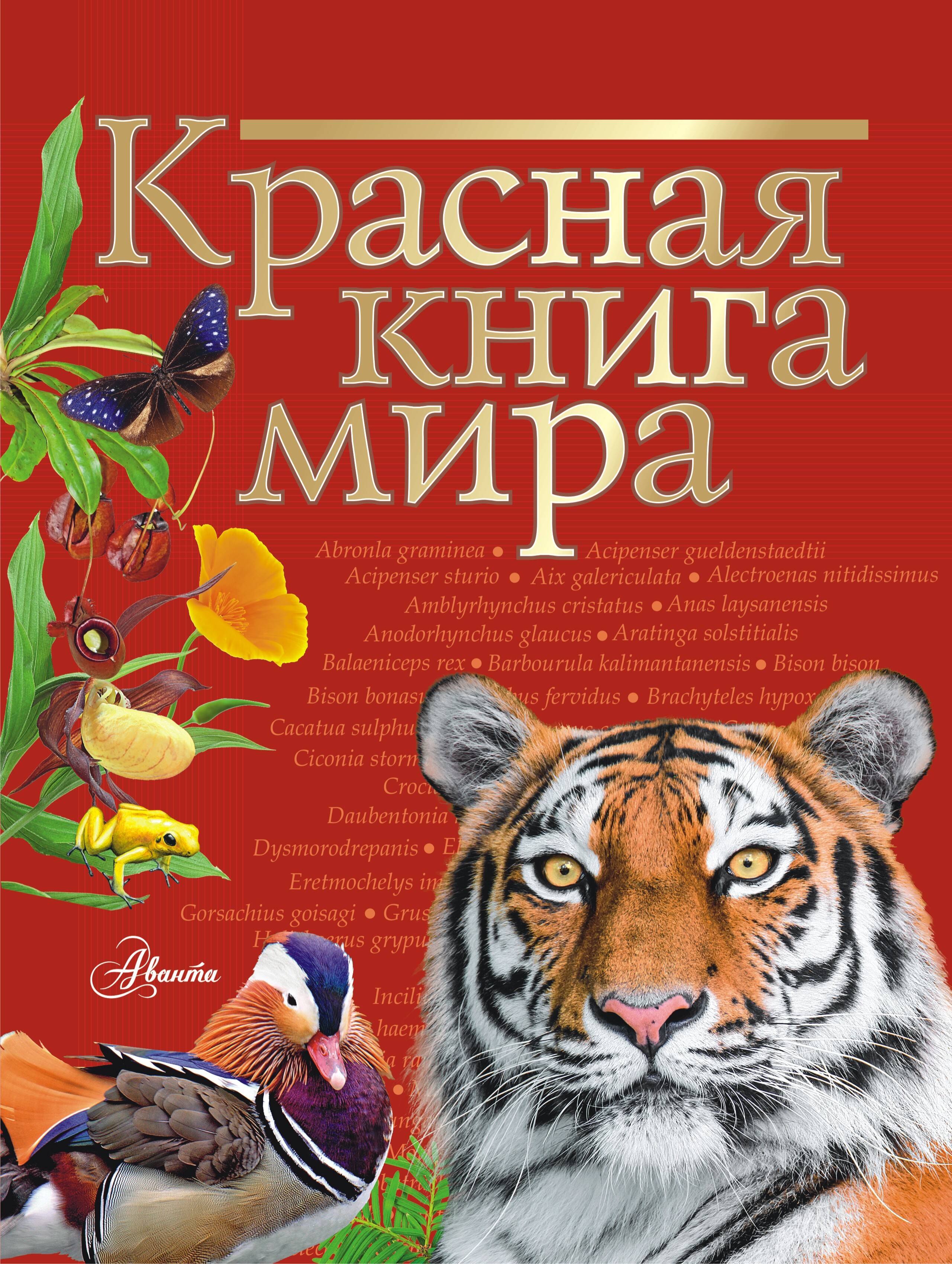 Книга АСТ Красная книга мира - фото 6