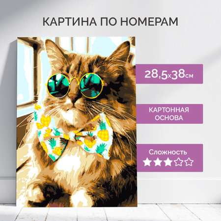 Картина по номерам LORI(колорит) Модный котик