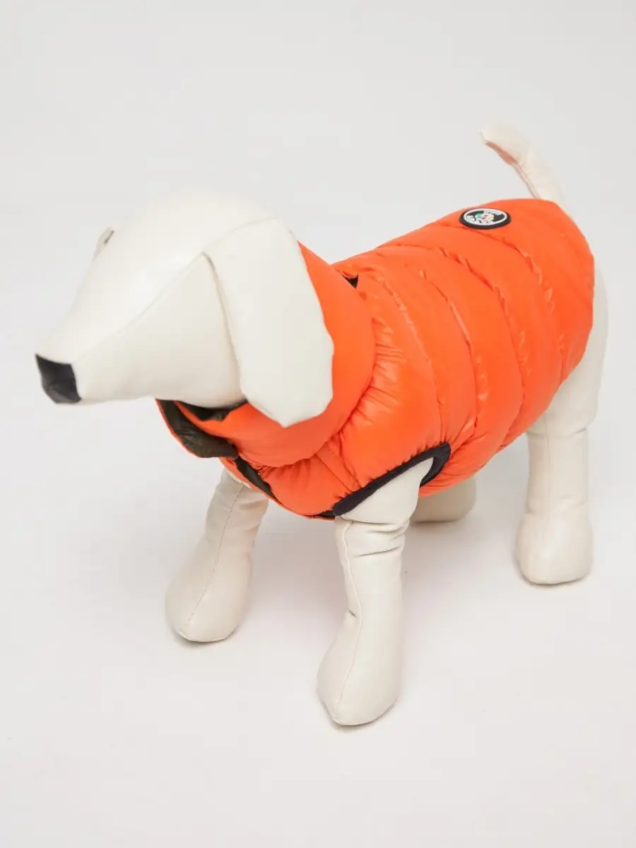 Жилет PIFPAF DOG двухсторонний - фото 2