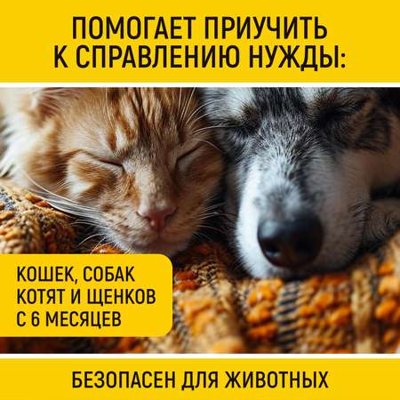 Спрей Приучение к туалету для собак и кошек 200 мл WLN0743