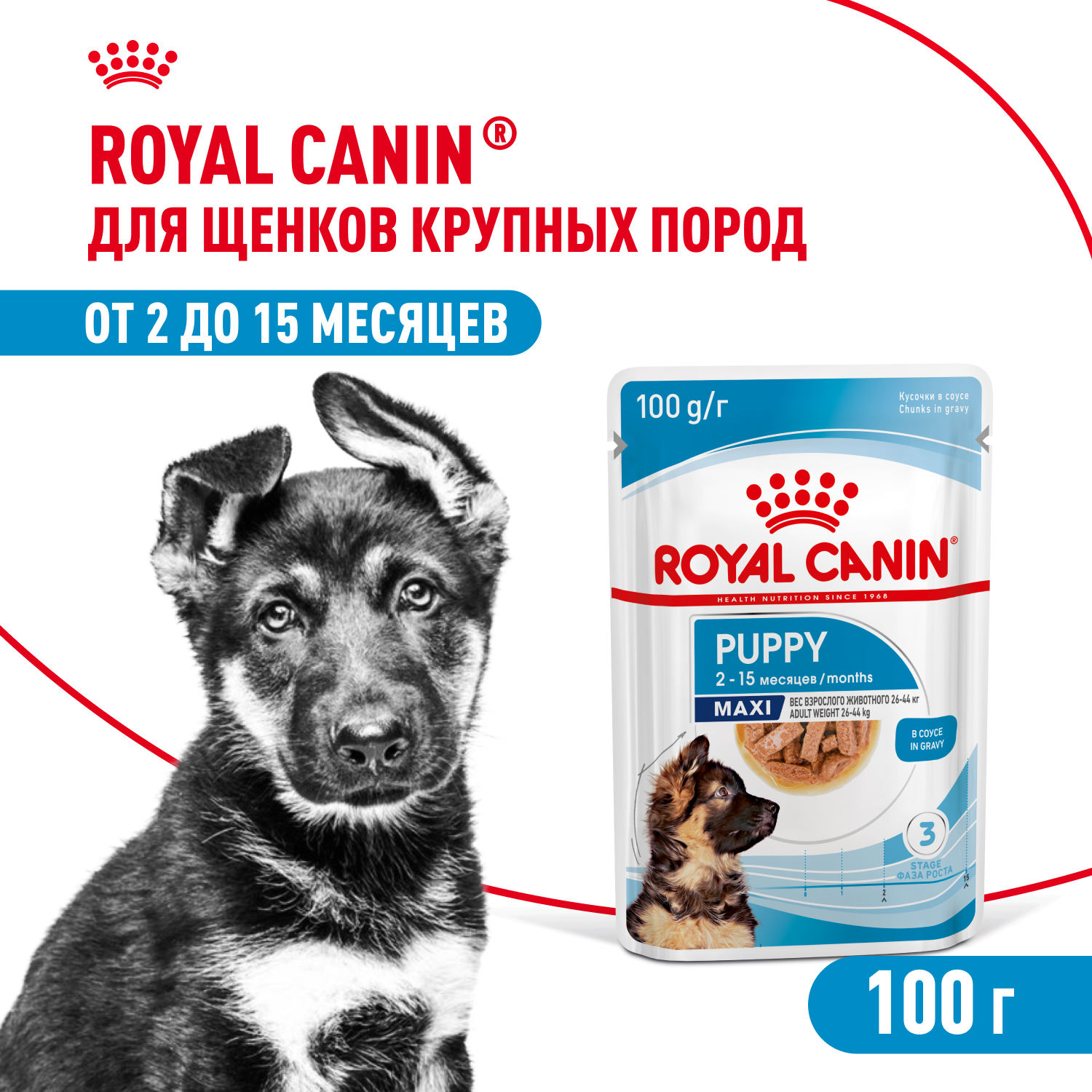 Корм для щенков влажный ROYAL CANIN Maxi Puppy для крупных пород в возрасте до 15 месяцев соус 100г - фото 1