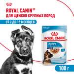 Корм для щенков влажный ROYAL CANIN Maxi Puppy для крупных пород в возрасте до 15 месяцев соус 100г