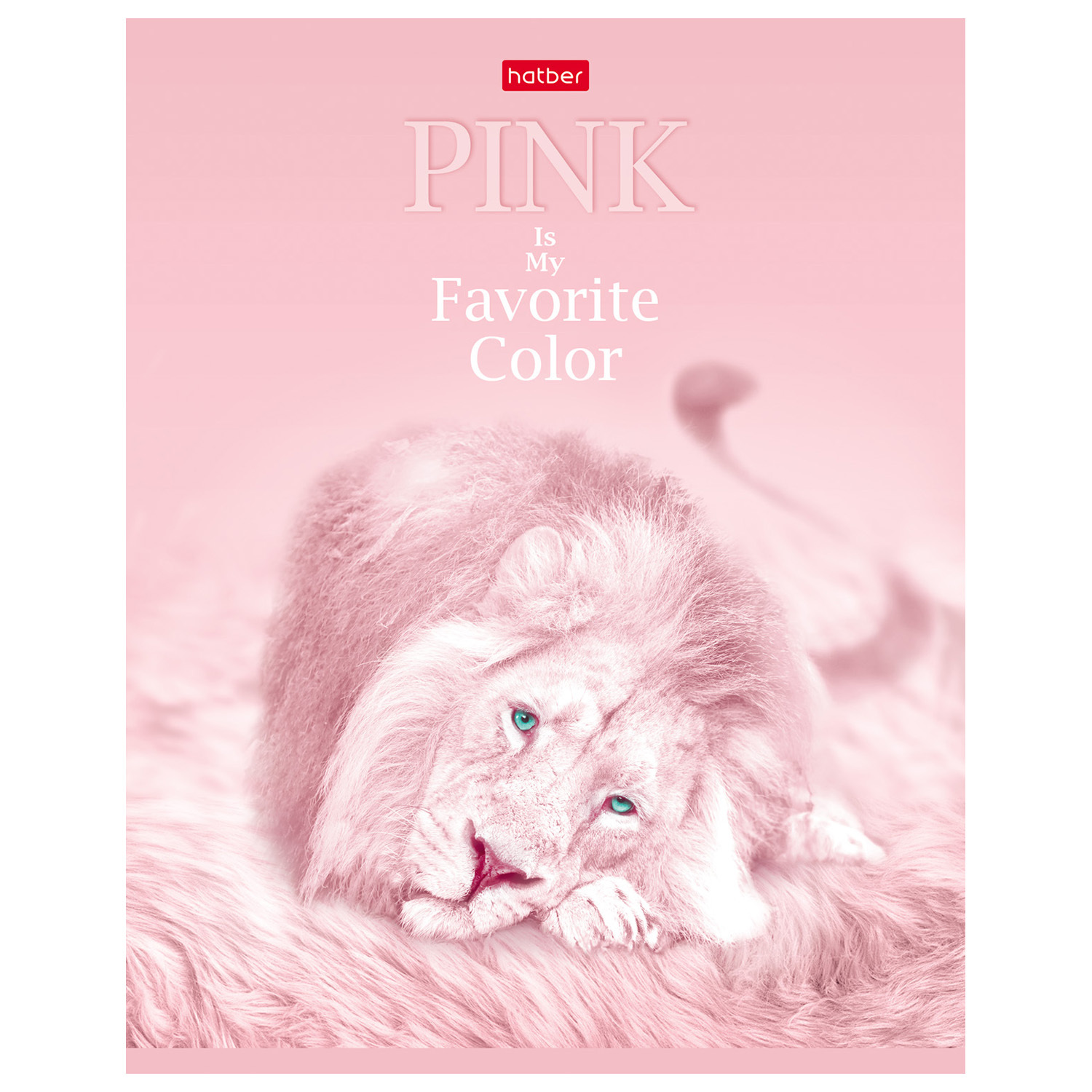 Общая тетрадь Hatber клетка 40 лист. в ассортименте - фото 4