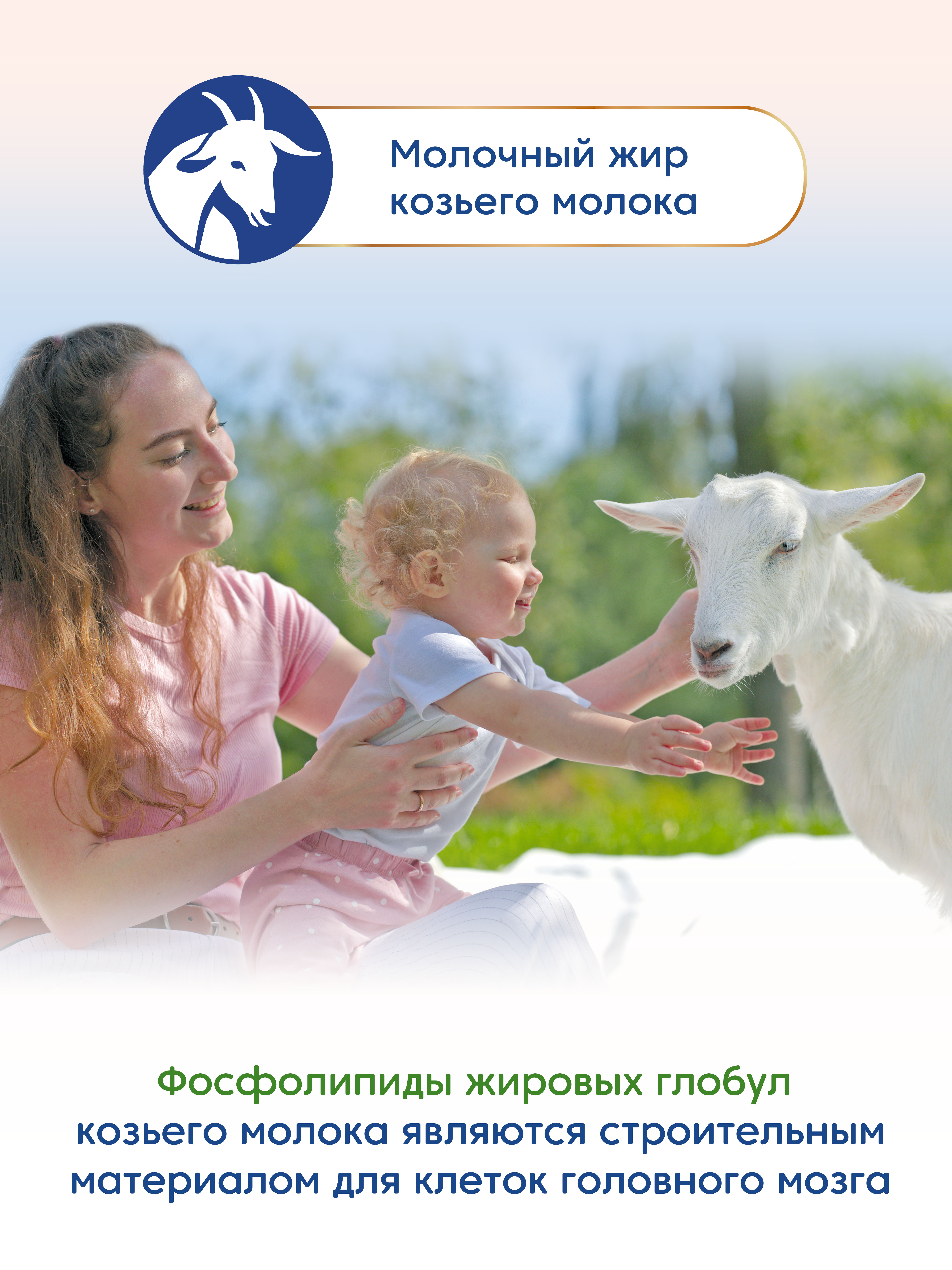 Смесь Мамако 3 Premium на козьем молоке 400г с 12месяцев - фото 9