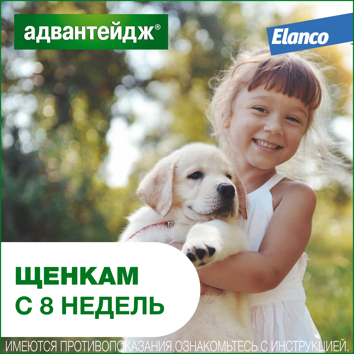Капли для собак Elanco Адвантейдж против блох 4 пипетки - фото 7