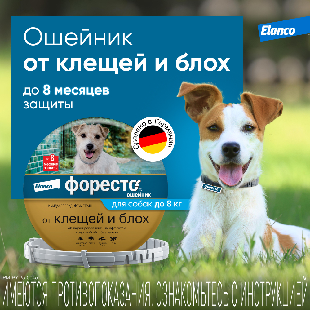 Ошейник для собак Elanco Foresto менее 8кг от блох и клещей защита 8месяцев 38см 65231 - фото 2