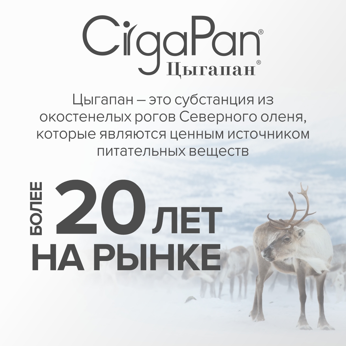 Цыгапан Остео Форте CigaPan Цыгапан кальций д3 для костей и суставов - фото 15
