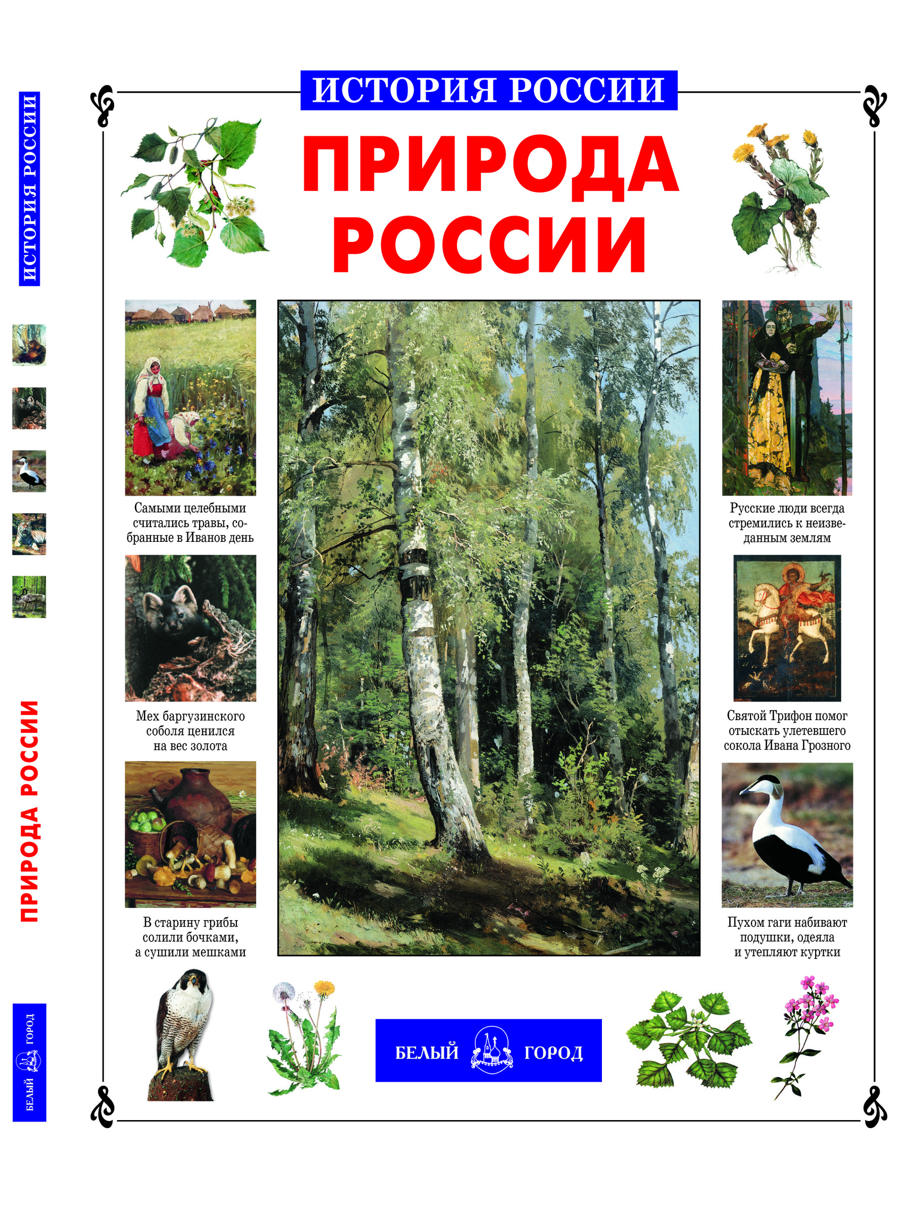 Книга Белый город Природа России - фото 1