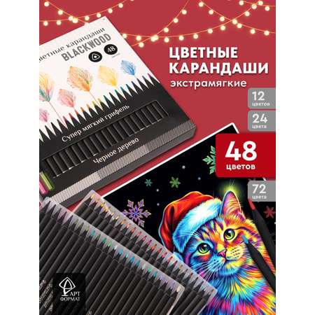 Карандаши цветные АРТформат 48 шт.