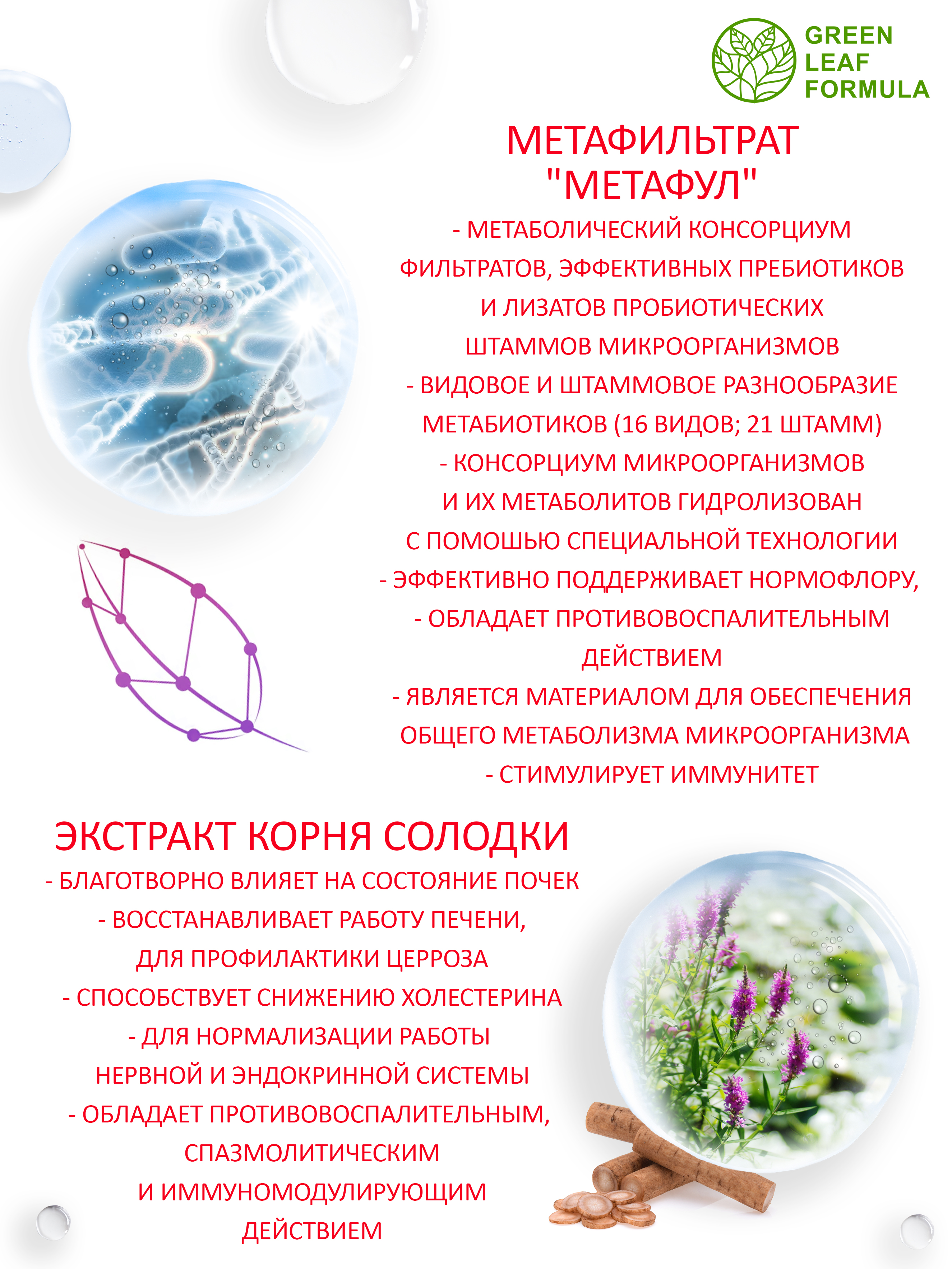 Метабиотик для восстановления микрофлоры Green Leaf Formula для желудка кишечника пищеварения - фото 5